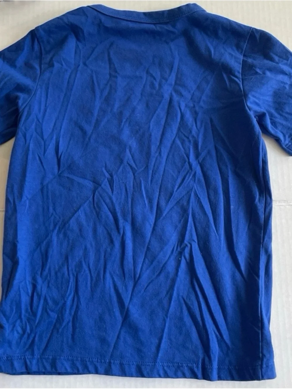 Boys Blue Chameleon Graphic T-shirt Children’s Place 5T
